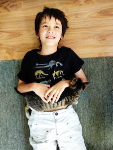 沙利文生活在大理-男孩与猫