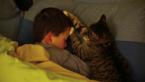boy & cat sleeping together - sullivan in dali
