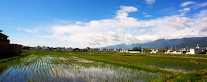 fields of Xizhou Dali