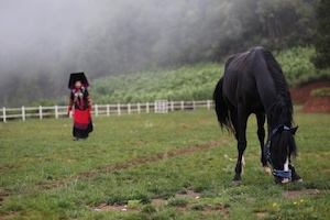 彝族文化 horse nation Yi people of Yunnan