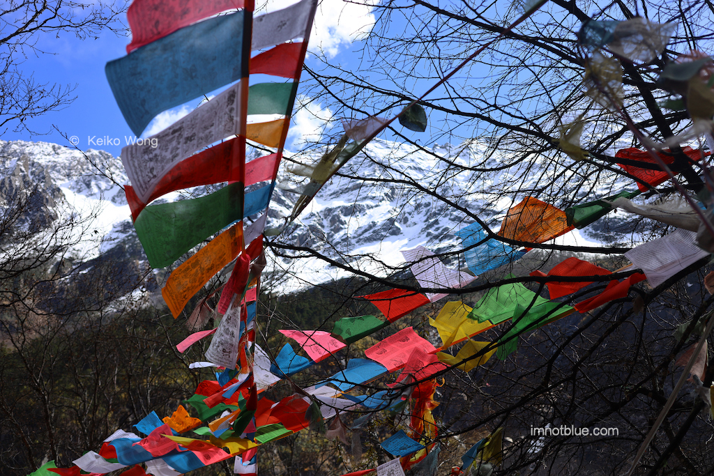 prayer flags in the wind