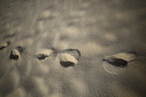 footsteps on sand Cap Code