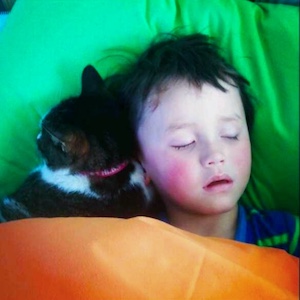 boy and cat sleeping 熟睡的猫与男孩