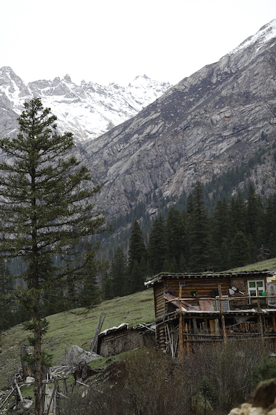 Dophu valley 德格多普沟 Ganze 甘孜