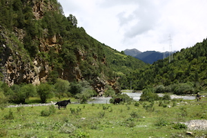 on the road to Dzongsar monastery