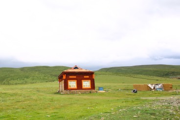 images of Tibet grassland
