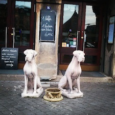 guardians of hamburg harbor - dogs in front of bar 酒吧外的狗雕像-汉堡仓库街