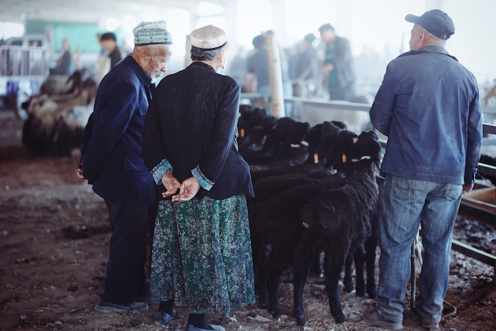 Kashgar Sunday bazaar livestock section 