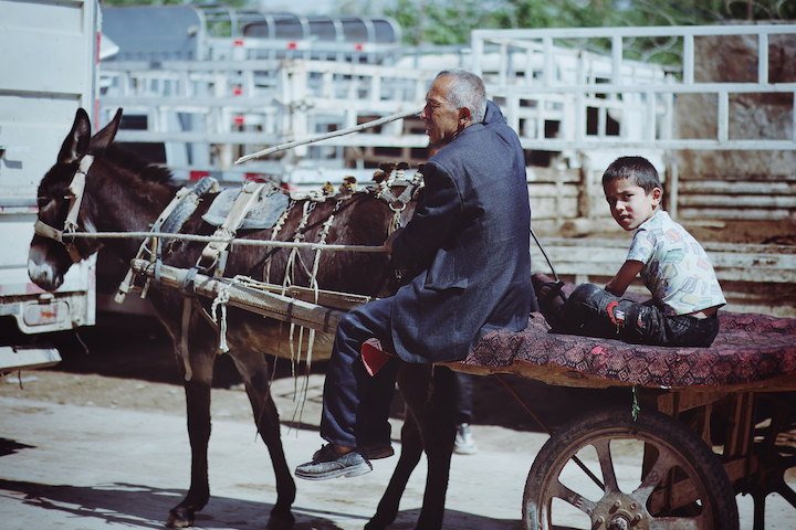 Kashgar Sunday bazaar livestock section 