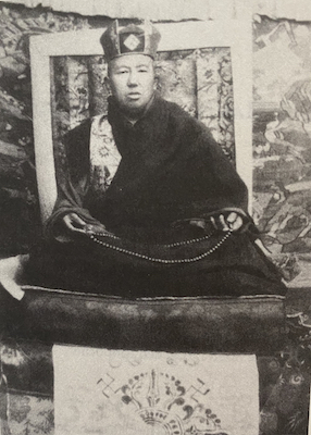 11th Palpung Situ Pema Wangchok Gyalpo