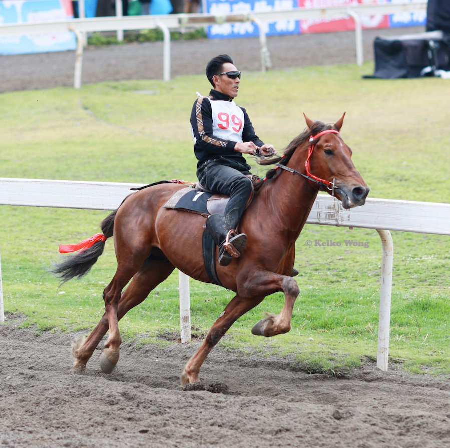 走马 horse trotting