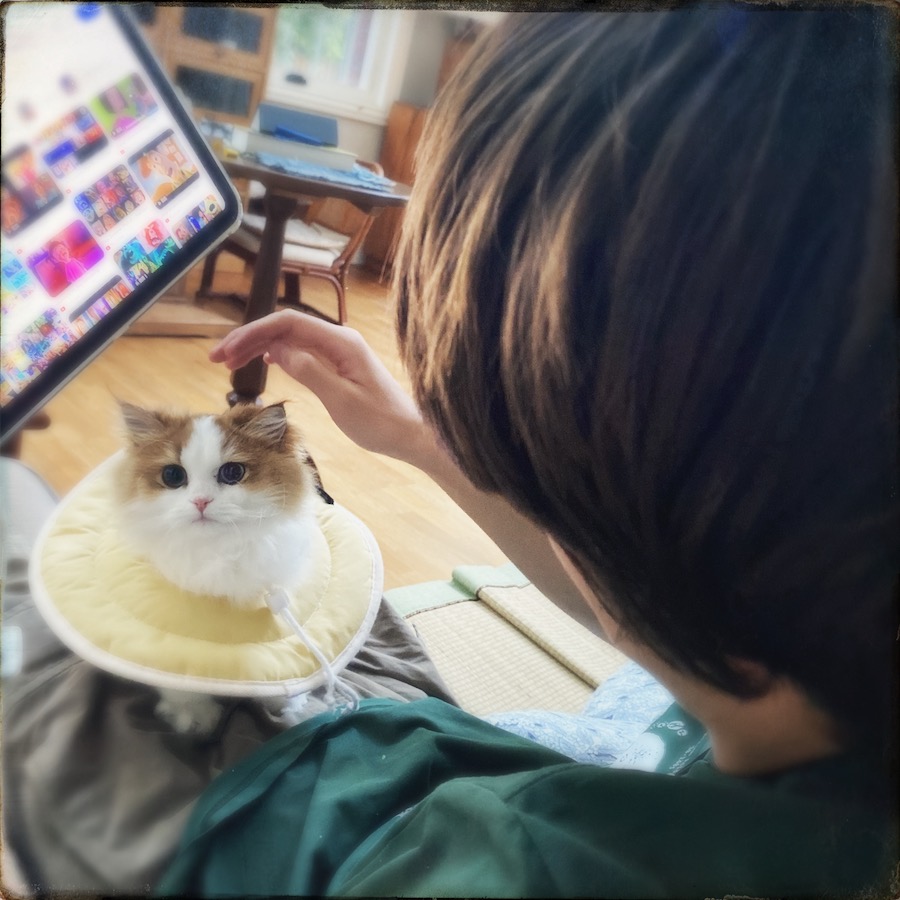 365 blog