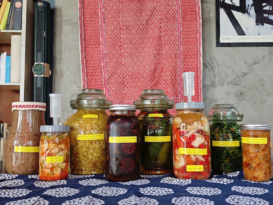 365 blog