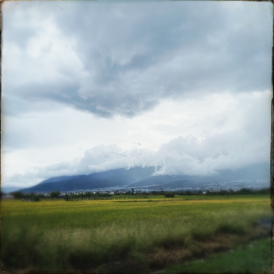 365 blog