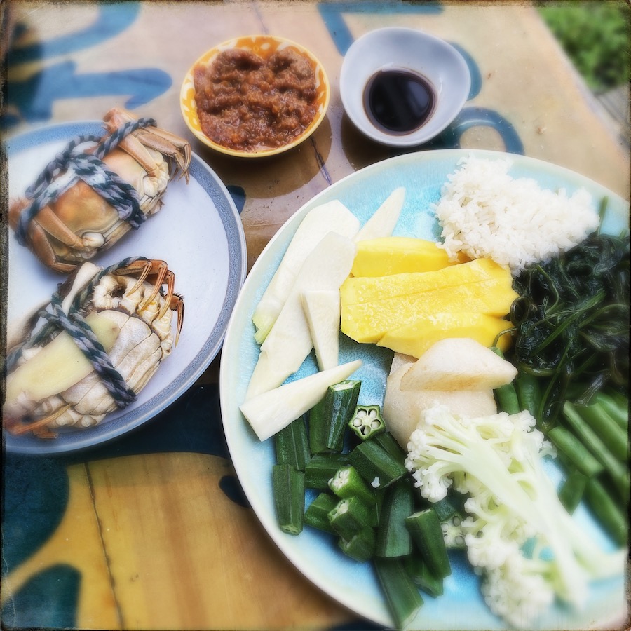 365 blog