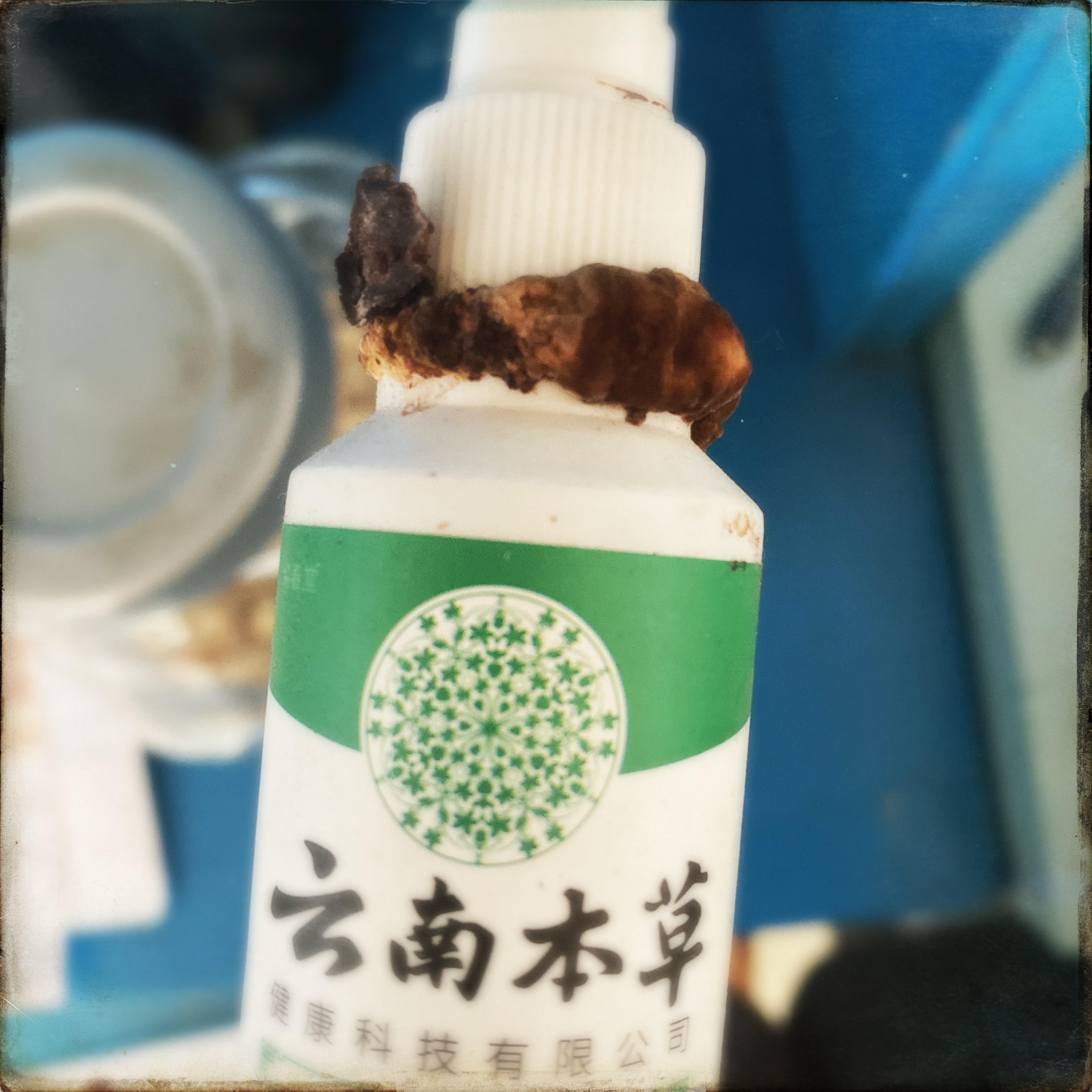 365 blog