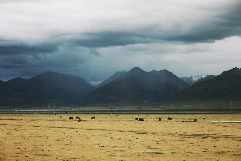 Qinghai-Tibet Plateau